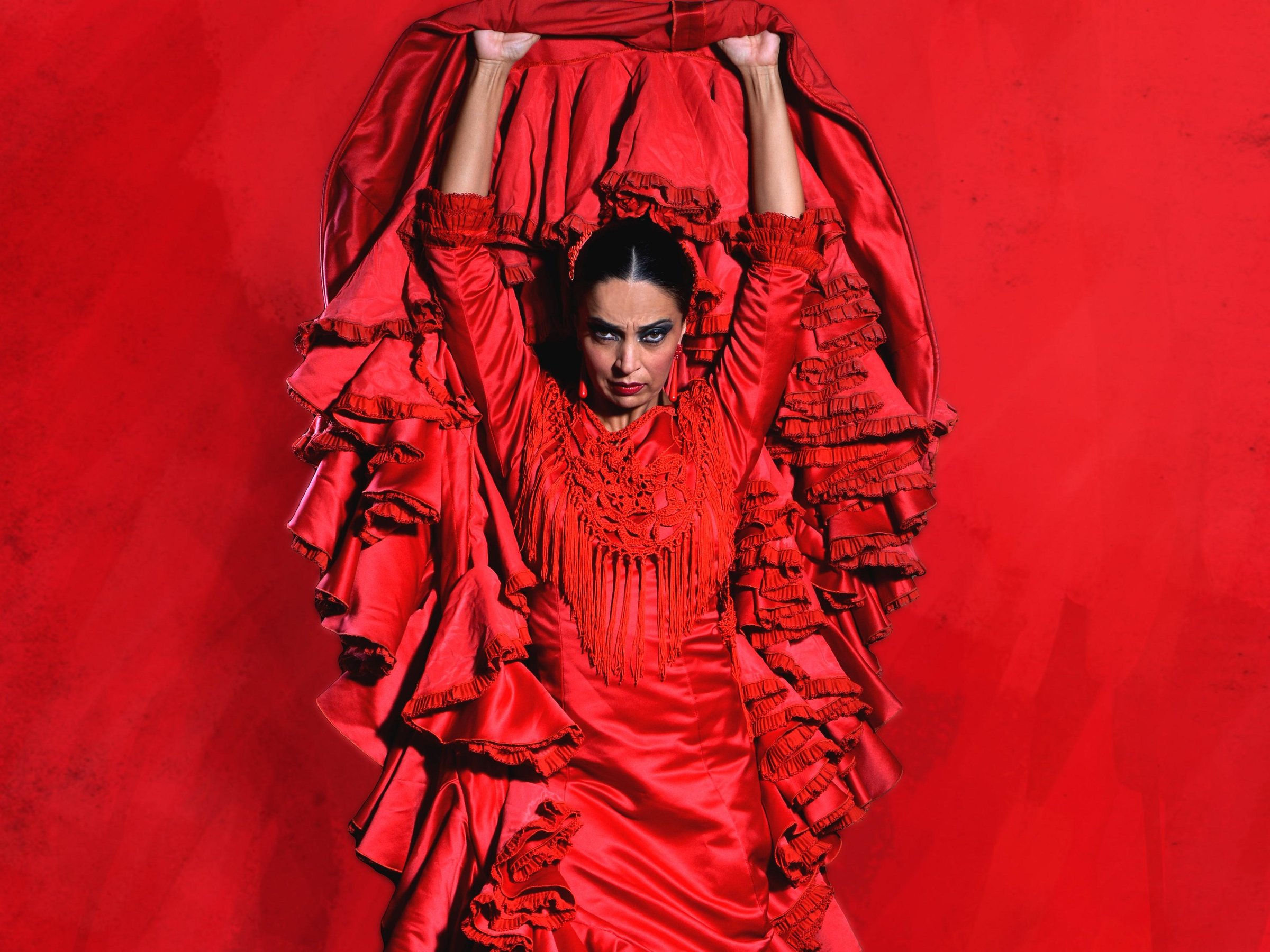 Live Flamenco Theater Show — professional stage performance in Seville